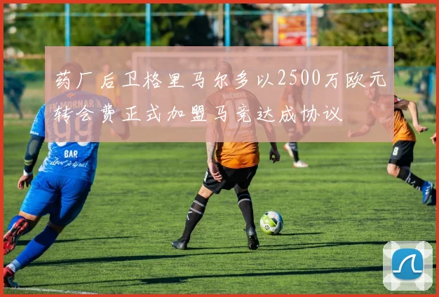 药厂后卫格里马尔多以2500万欧元转会费正式加盟马竞达成协议